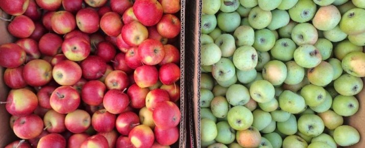 Еженедельная ярмарка в городе Мариуполь