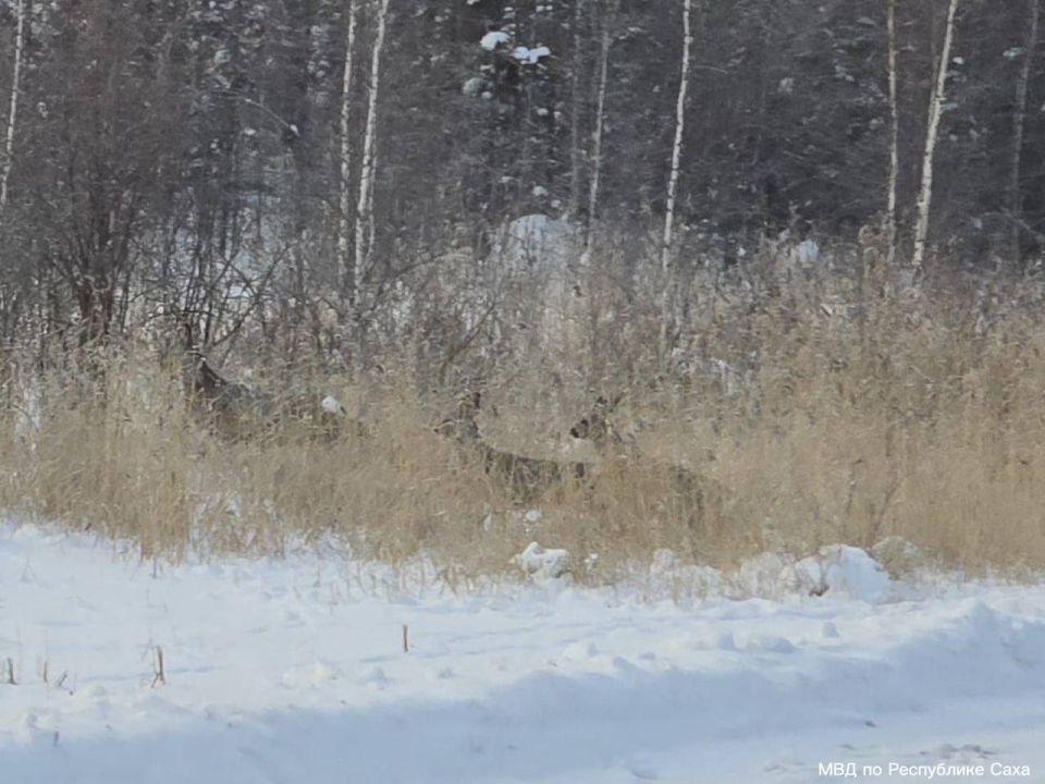 #* �������� ���������� �������� �� �������� � ����� ����