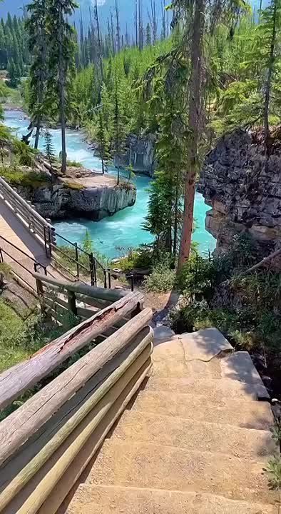 ��������� ����, ���������!