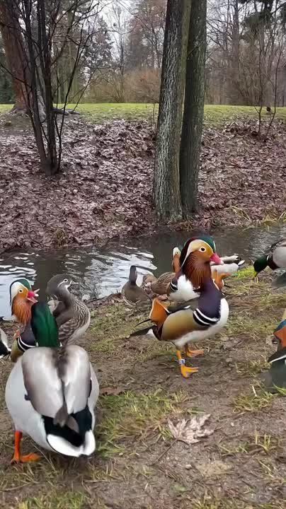 � ������ �����, ���������!