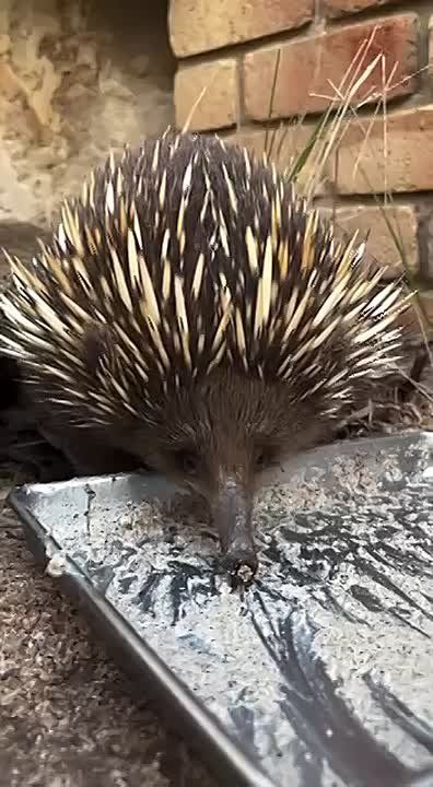 � ������ �����, ���������!