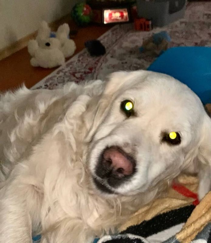 �������� ����� ���������� �������!