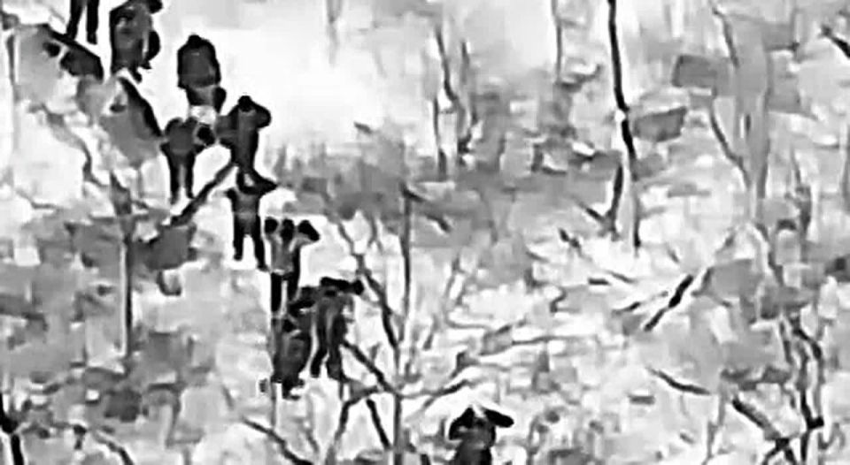 ������� ������. ������� ��� - "����� �����" - �������� ��������