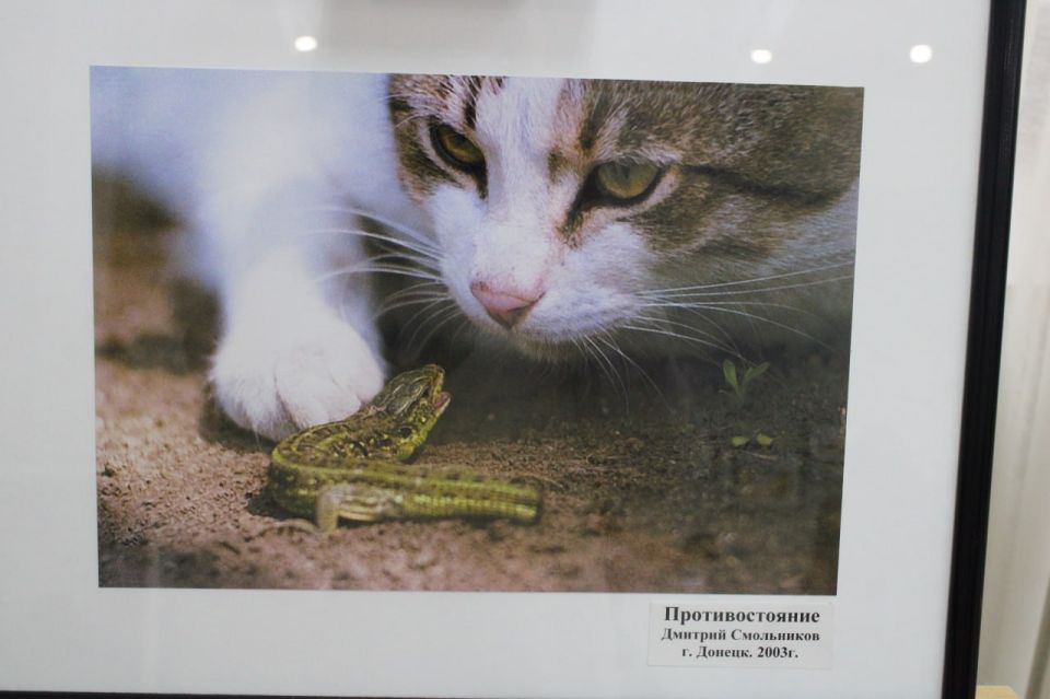 ������ ��� �����. � ������������� ����� ��������� ������������ ��������� ��� ������� �����������, �������������� ��������� � ��������� ��� ���������