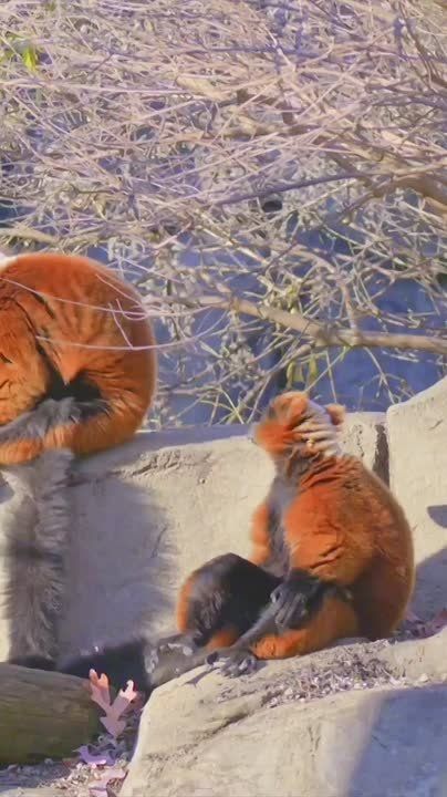 � ������ �����, ���������!