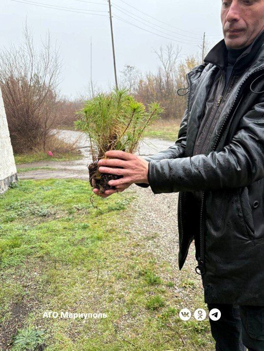 ���������� ������� ������������ ���� ��������