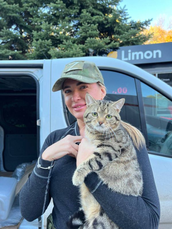 ������� �������: ������� ���� �������� � ���� ������������� ������� ��������� ���� ��������, �������� ������