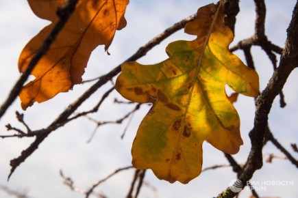 Погода на новых территориях России