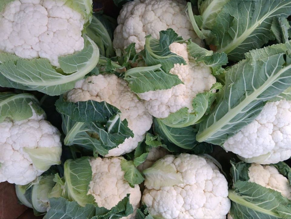 ������������ ������� � ������ ���������