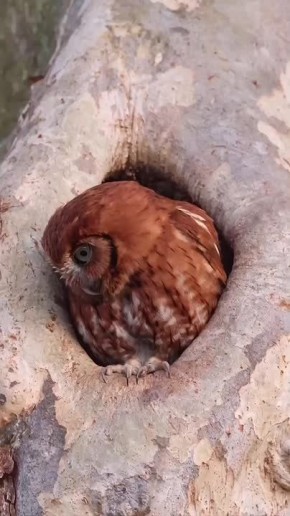 С добрым утром, Мариуполь!