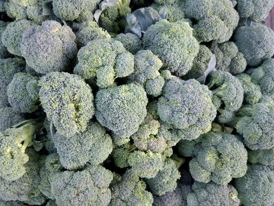 ������������ ������� � ������ ���������