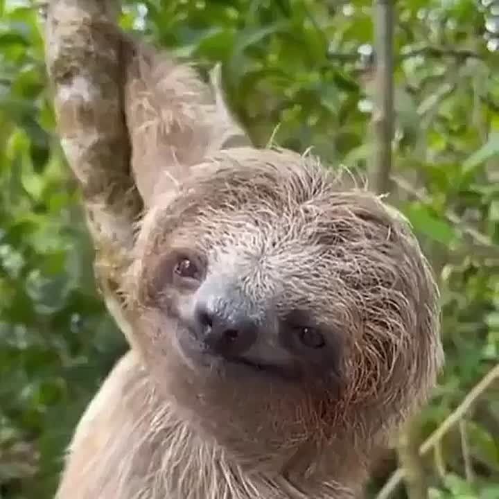 ��������� ����, ���������!