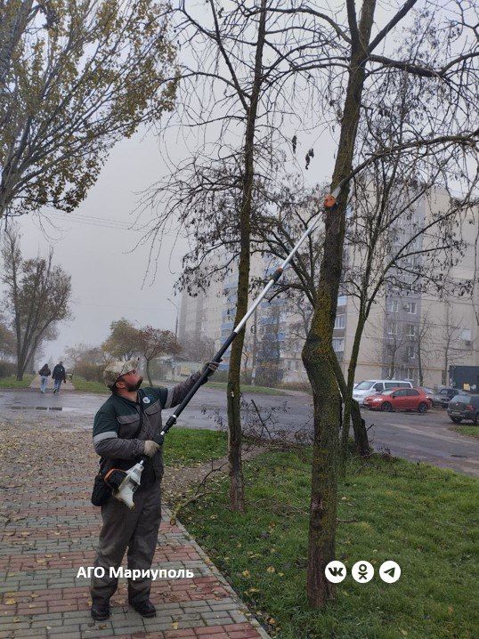 ������� �������� ������������� ��������������� � ��������� ���������� ������ �����������