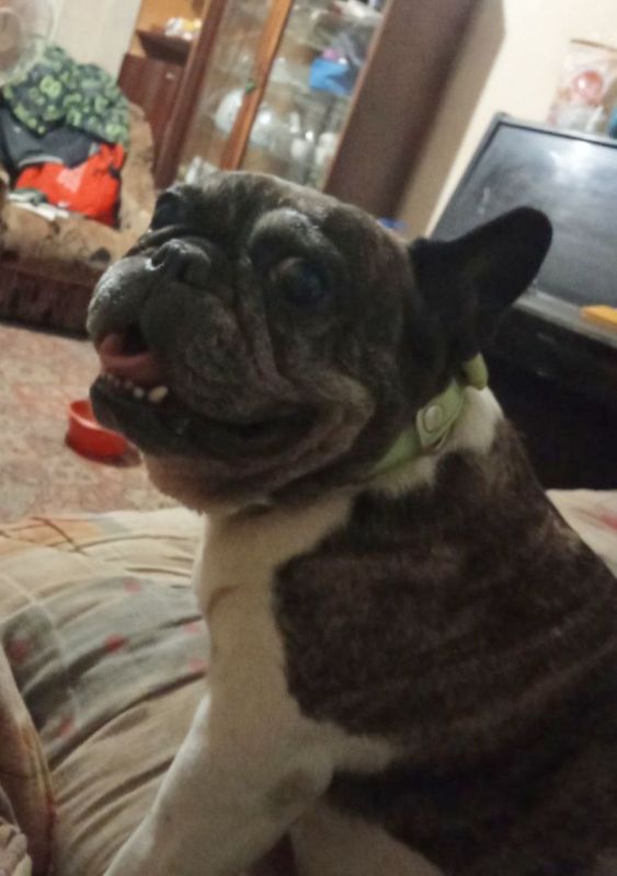 ��� ���� "���������". �������� ��� ������� ���������� �������� �������� �������� - ������������ ��������