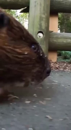 С добрым утром, Мариуполь!