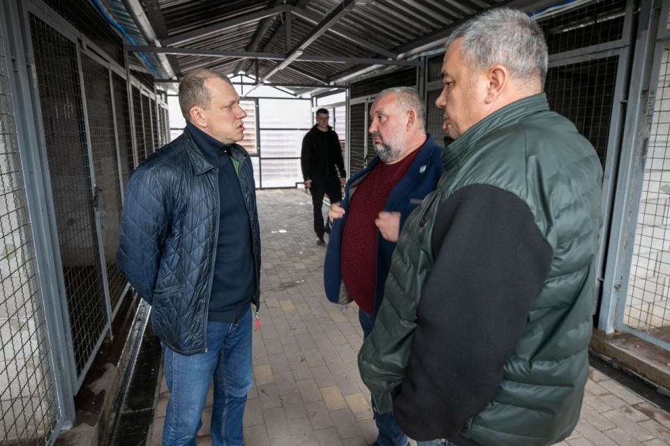 ����� �������: ������� �� ������� �������������� ����������� ����������� �� ������ � ������������� ���������