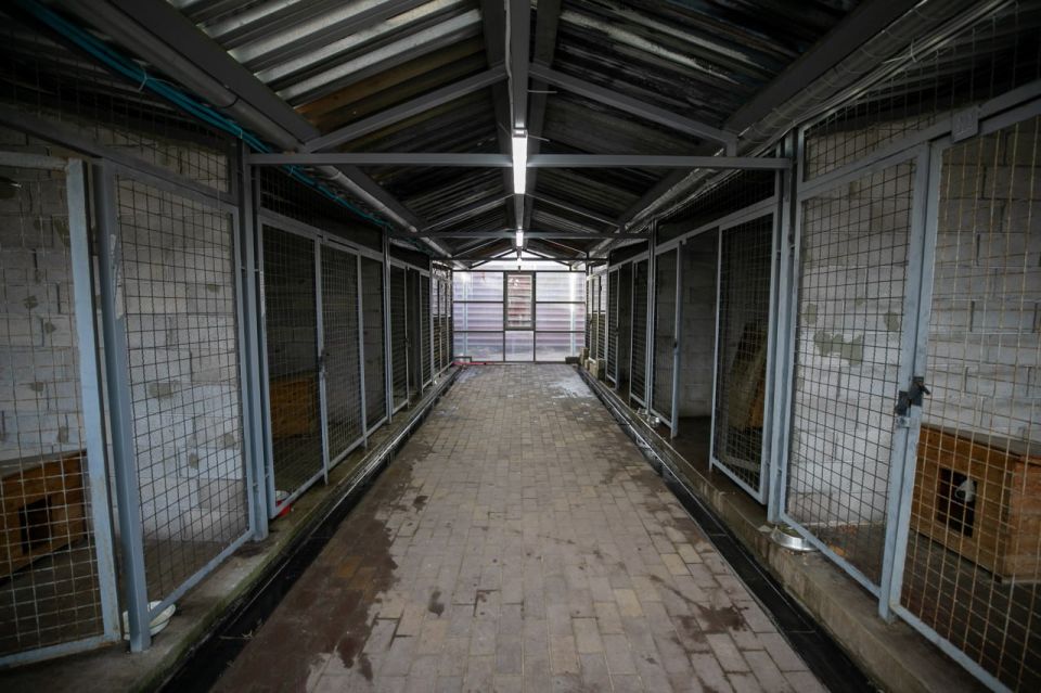 ����� �������: ������� �� ������� �������������� ����������� ����������� �� ������ � ������������� ���������