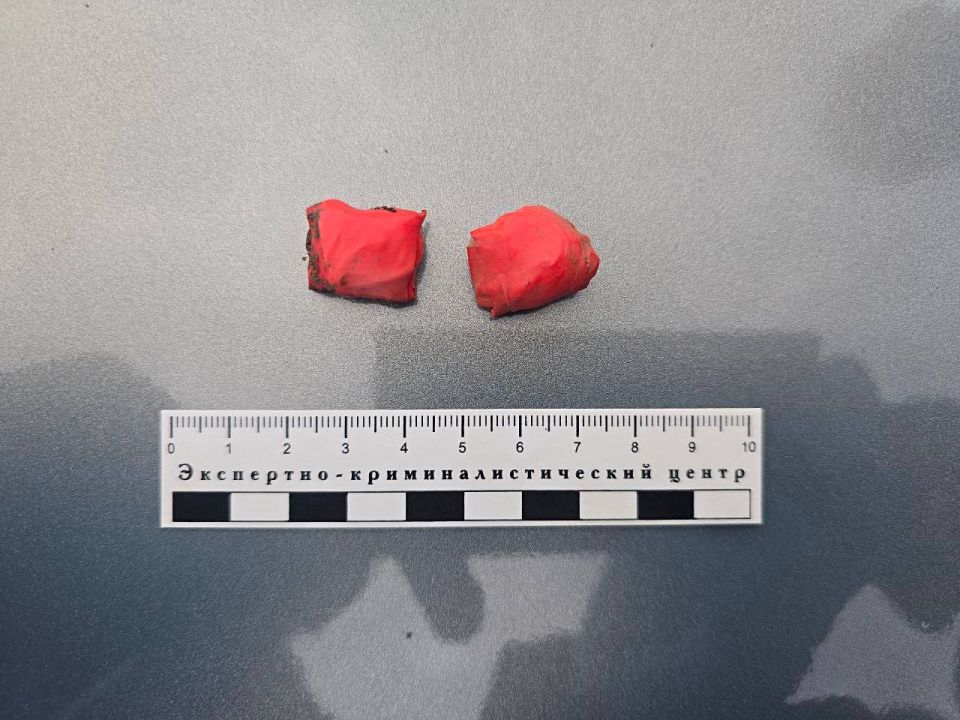 ���������� ��� ����������: ������� � ����� �������� ���������� ������� �� ������