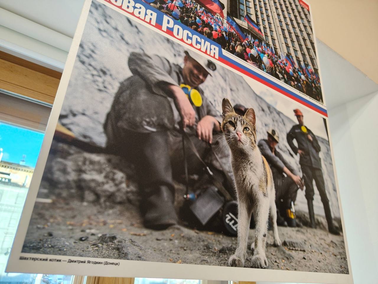 «За этим снимком охотился пять дней!»: фотожурналист донецкой «Комсомолки» Александр Иванов победил в фотоконкурсе «Новая Россия» «За этим снимком охотился пять дней!»: фотожурналист донецкой «Комсомолки» Александр Иванов победил в фотоконкурсе «Новая Россия»