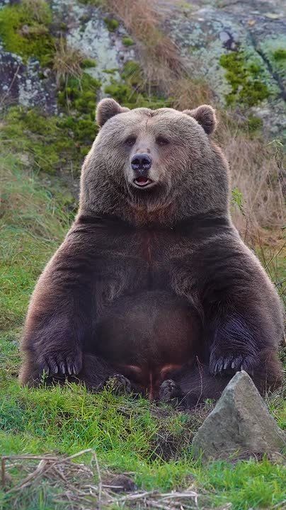 � ������ �����, ���������!