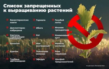 Внимание: запрет на выращивание наркосодержащих растений!