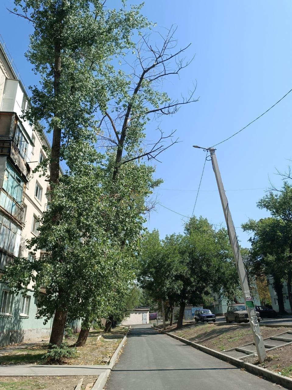 Технадзор Подмосковья контролирует работы по благоустройству дворов в Приморском районе Технадзор Подмосковья контролирует работы по благоустройству дворов в Приморском районе