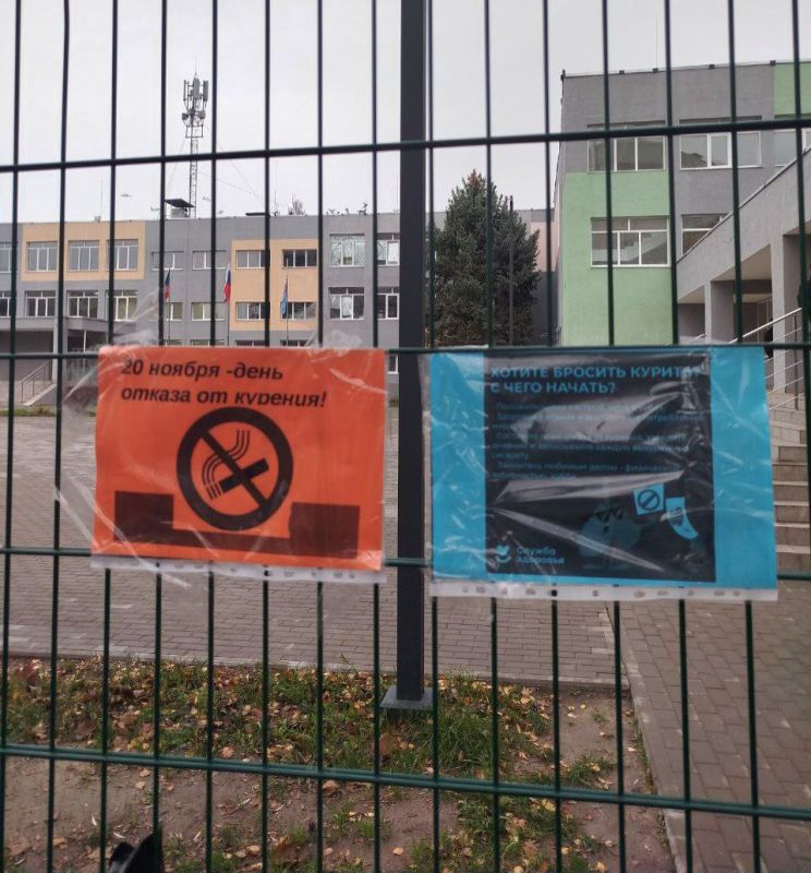 20 ������ � ��������� ���� ������ �� �������