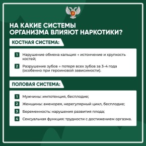 Минздрав ДНР совместно с РНЦ рассказывают о последствиях наркотиков