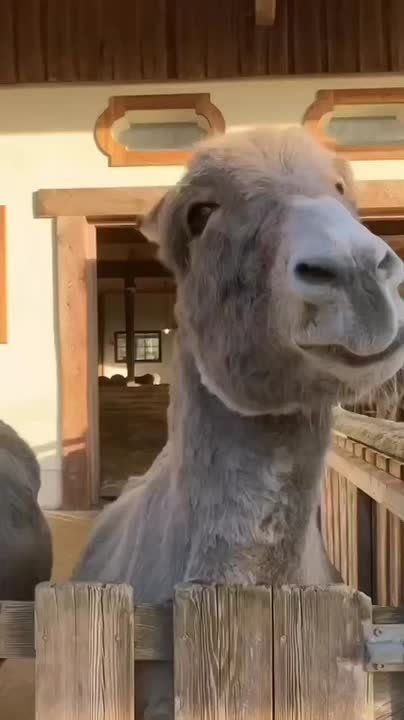 � ������ �����, ���������!