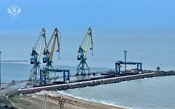 Правительство РФ утвердило распоряжение об установлении в морском порту Мариуполя пункта пропуска