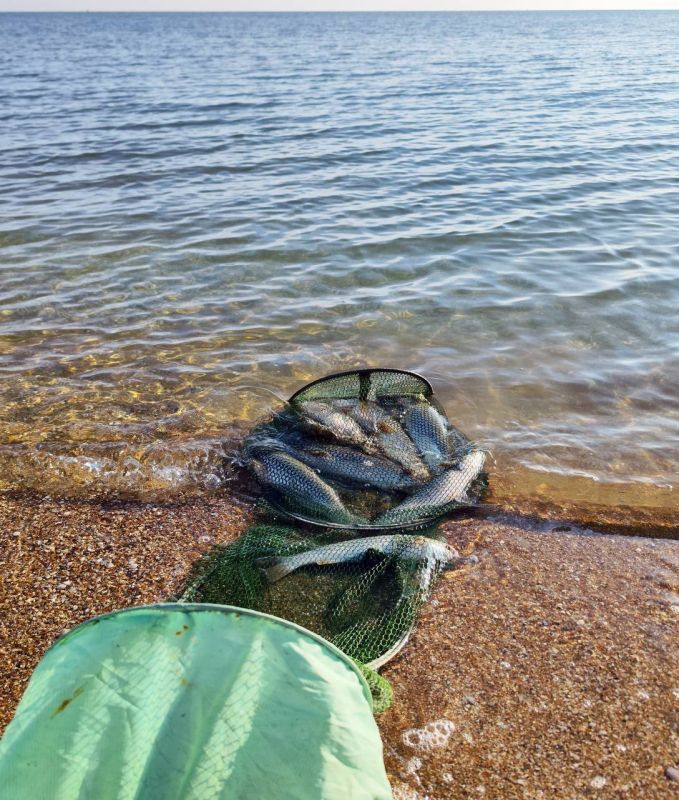 �������� ������� ����: �� �������� ����� ��������� �������� ��� �� ������ �������� �����������