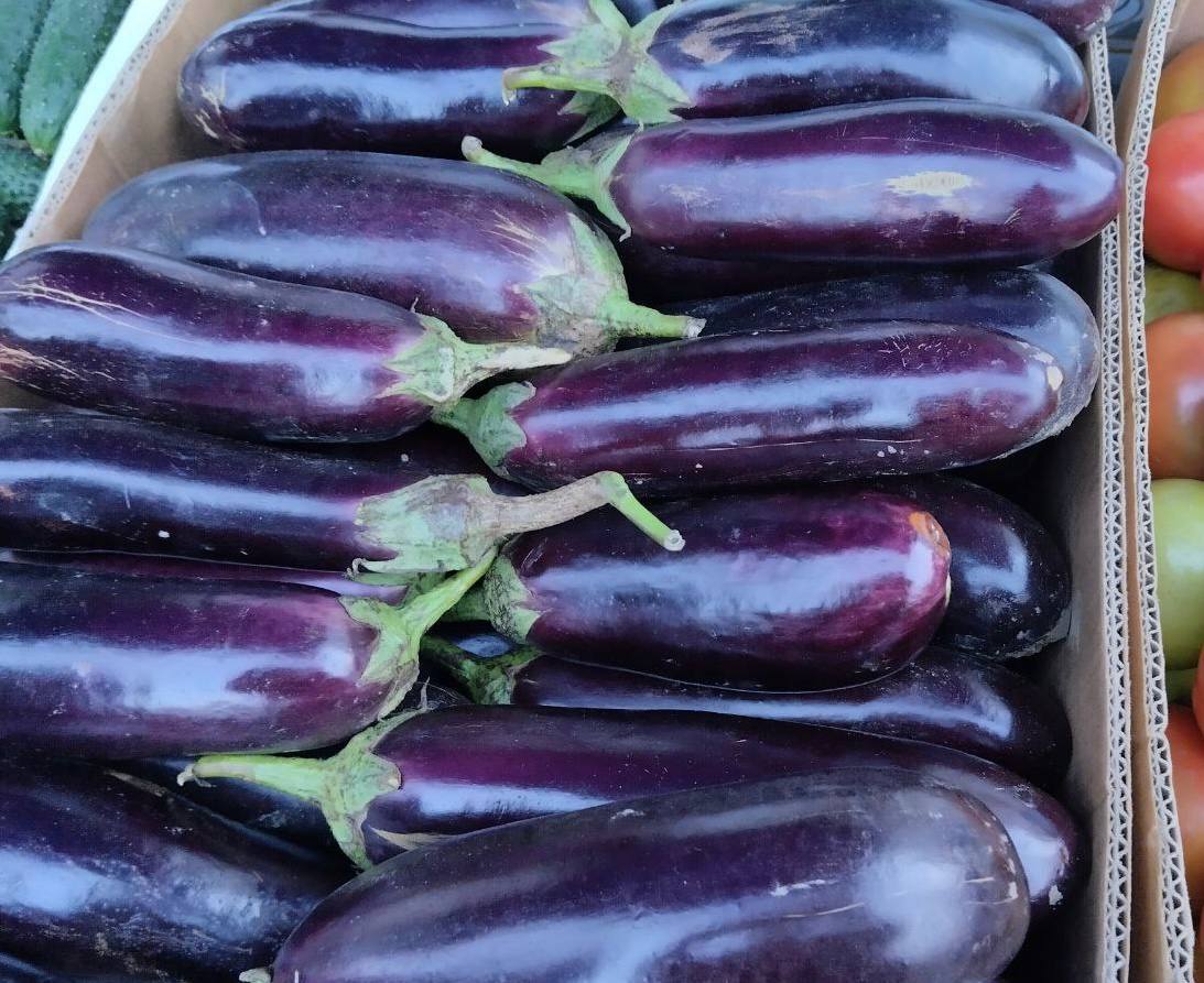 Еженедельная ярмарка в городе Мариуполь Еженедельная ярмарка в городе Мариуполь