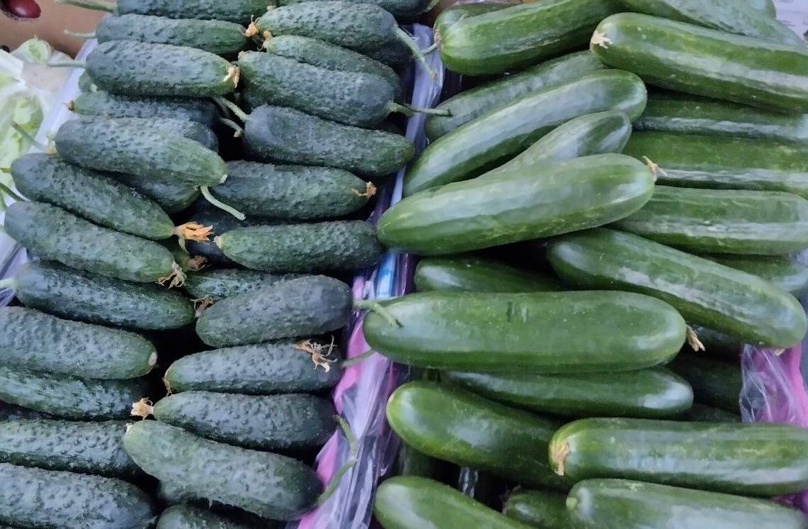 Еженедельная ярмарка в городе Мариуполь Еженедельная ярмарка в городе Мариуполь