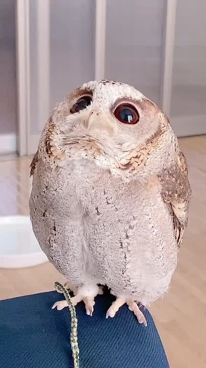 С добрым утром, Мариуполь!