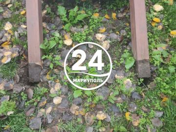  .   -            50- 