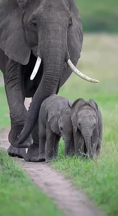 � ������ �����, ���������!