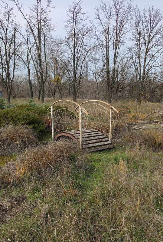 ���� ���������� ������ �� ����� �������� ���������?