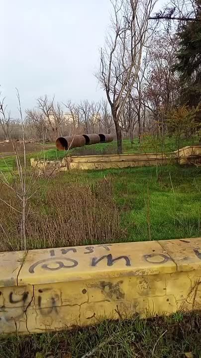 ���� ���������� ������ �� ����� �������� ���������?