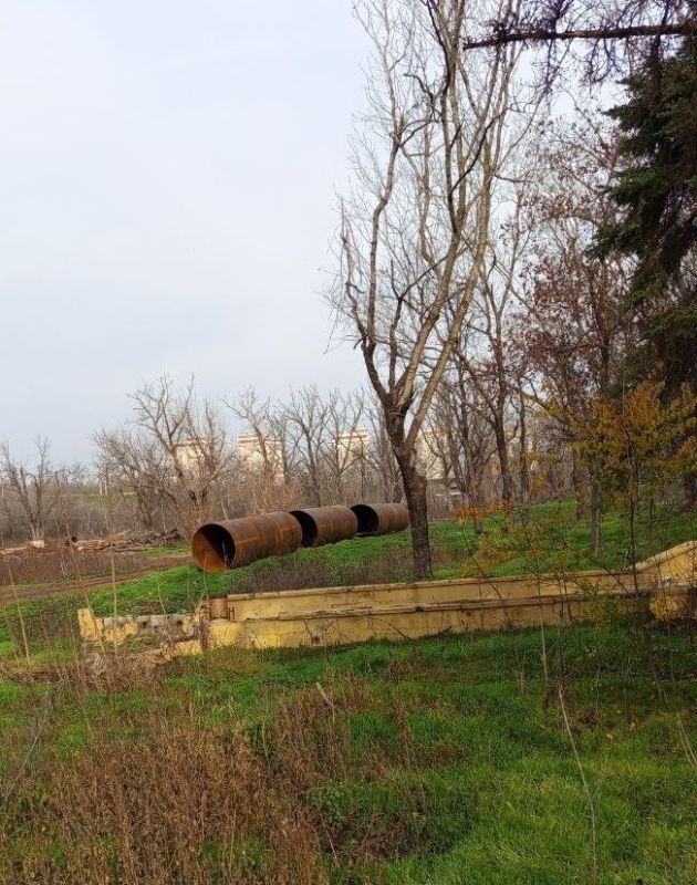 ���� ���������� ������ �� ����� �������� ���������?