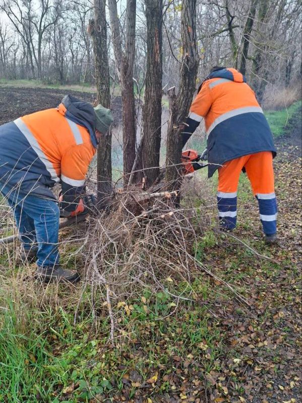 � ����������� ������ �������� � ����� ���������� ������� �������� �������� ��������������