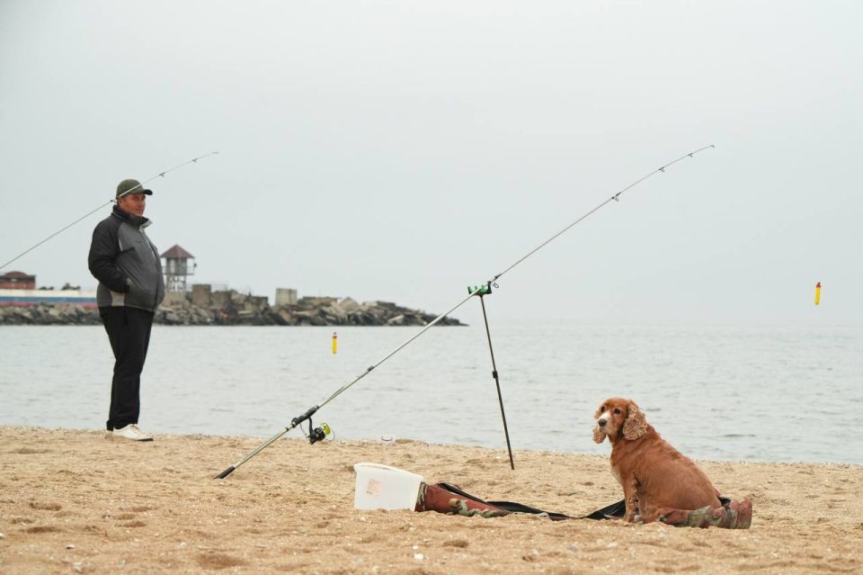 ��������� �������, ��������������� �������� � ������� ������ �� �������: ������������ ������ ��� � ���������