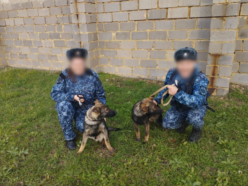 �������������� ������������� ������ ������ �� ��� ����������� 7 ������� �� ��������