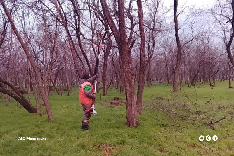 � ��������� ������������� ���������� �������� ������� ���� � ������� �������