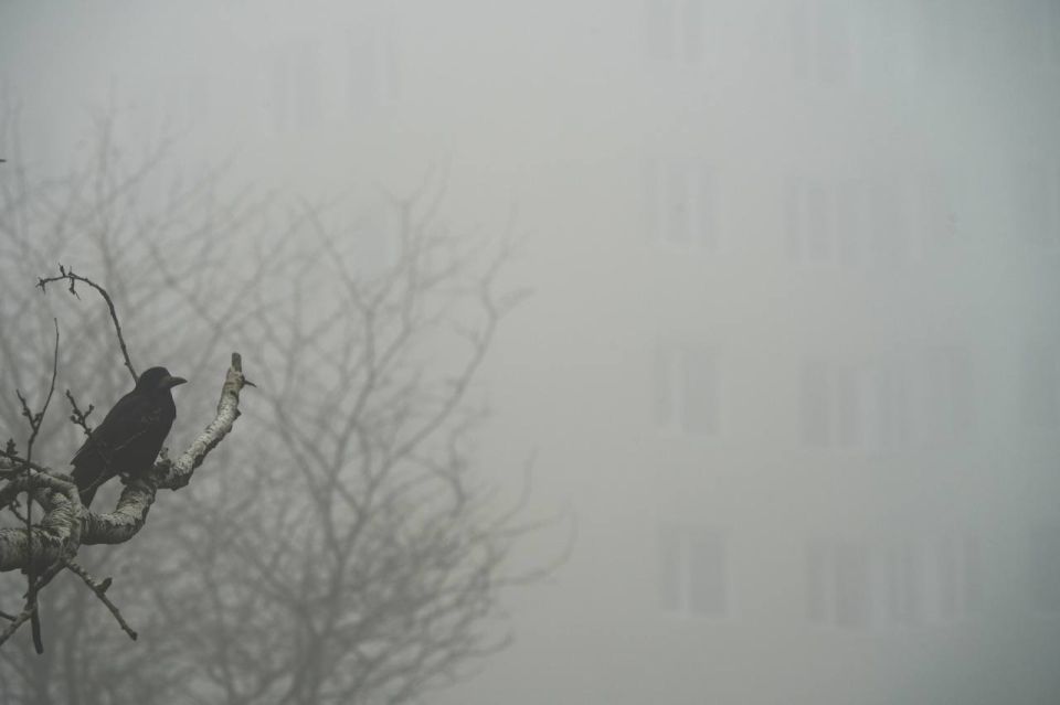 ���� ���������� � ������ � ��������� � �����������, �� ��� �������� �������������� ���