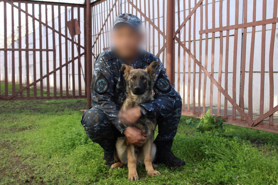 �������������� ������������� ������ ������ �� ��� ����������� 7 ������� �� ��������