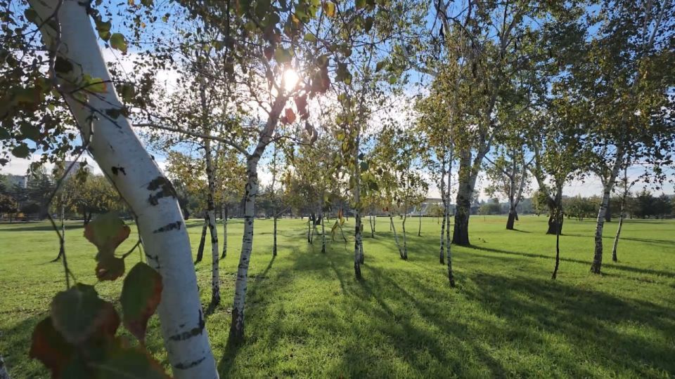 �������� ����� ��� ���������� ���������� �������� �� ���������