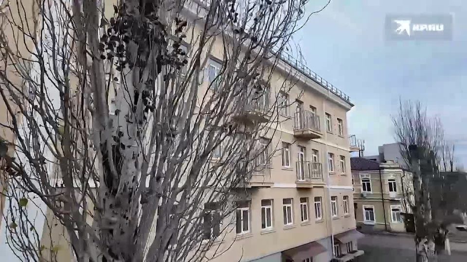 ���, ��� ������ ������: � ������������� ��������� �������� �������� ����� ���������� ���� ������� ������� �������