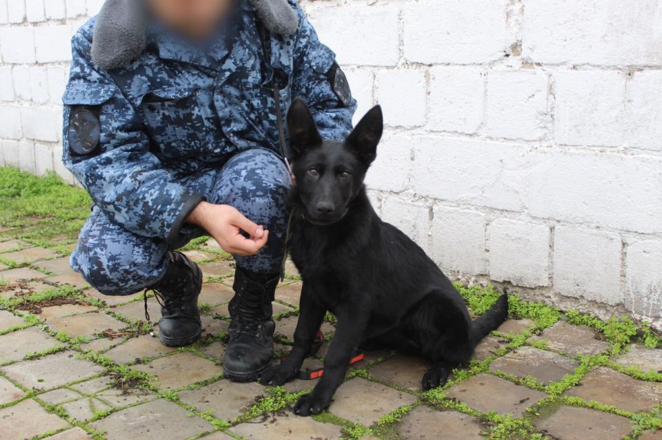 ��� �� �Ӕ: ���� ������ �������� ������� ������� � ��� �� �������� ��� ������� ������