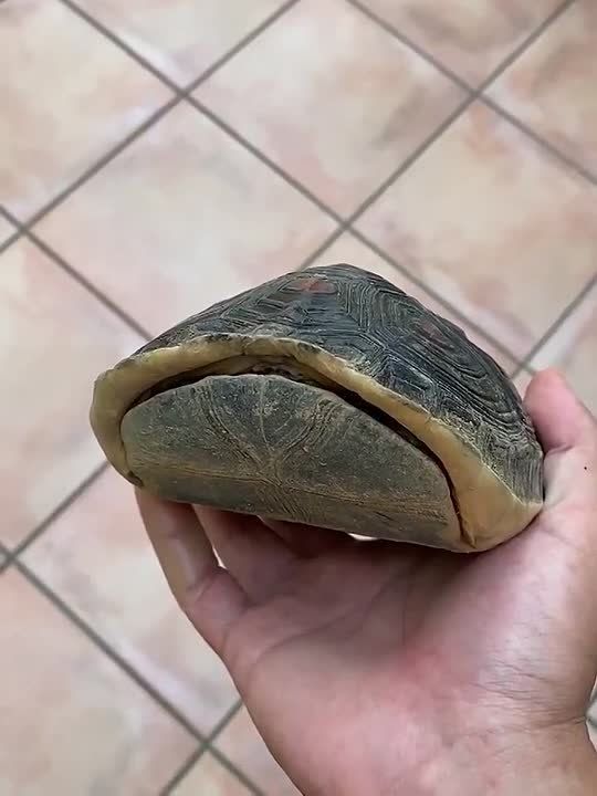 � ������ �����, ���������!