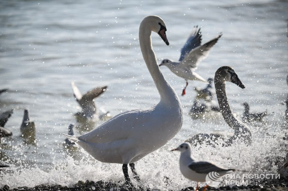 ������ �� ����� ����������� ������